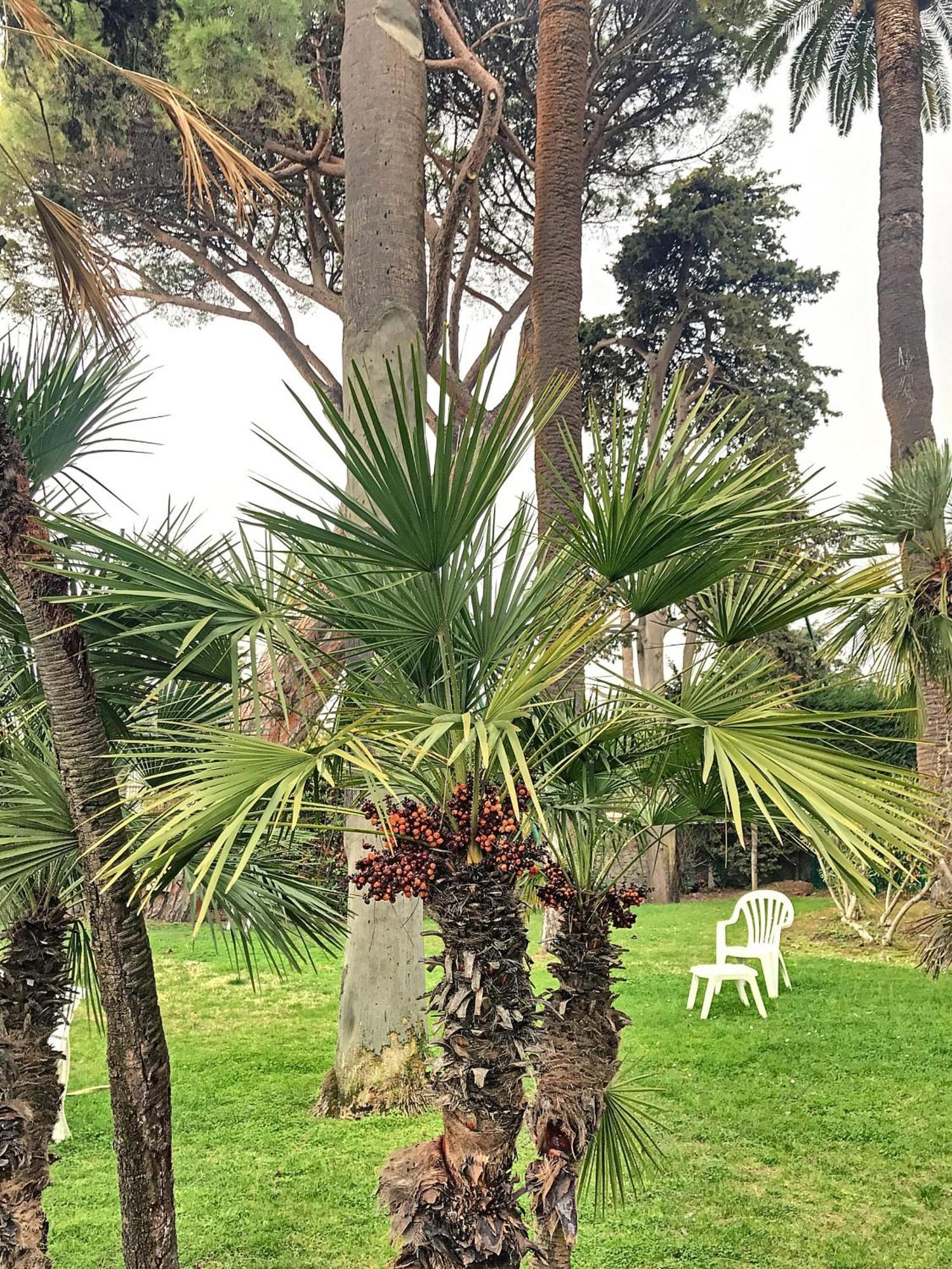 Belles Prestations, Proche Plages, Piscine 232l Py Apartamento *